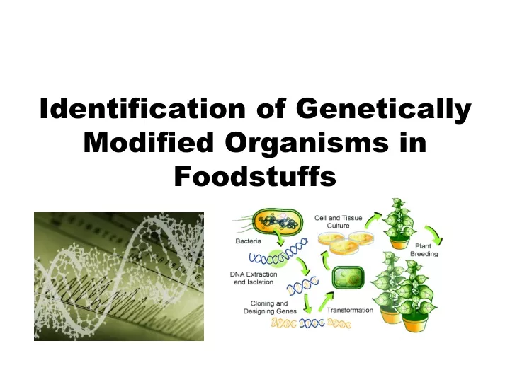 identification of genetically modified organisms