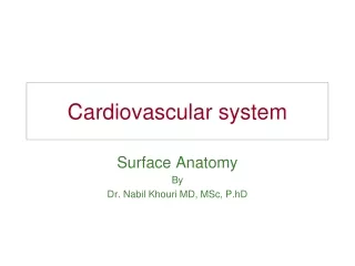Cardiovascular system