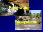 Freshwater 	 Ecosystems - slide 1