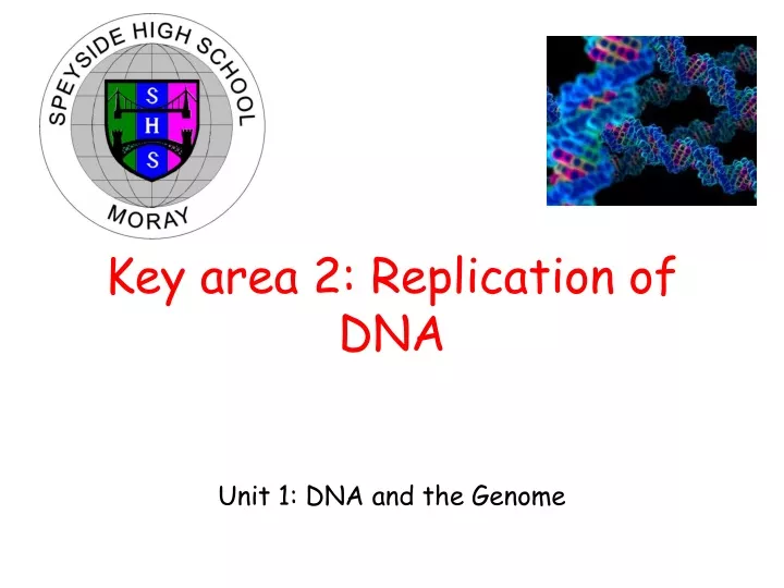 key area 2 replication of dna