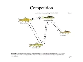 Competition