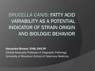 Alexandra Brower, DVM, DACVP Clinical Associate Professor of Diagnostic Pathology