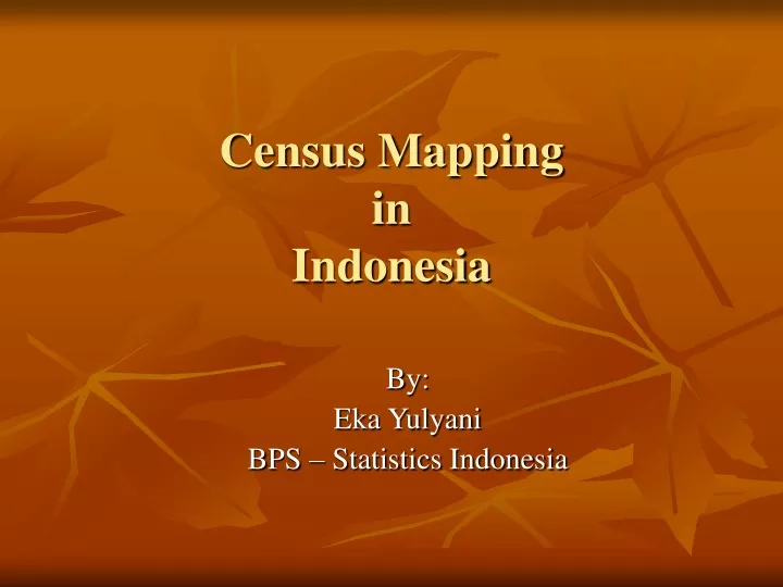 census mapping in indonesia