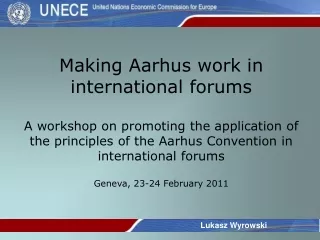 making aarhus work in international forums