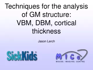 Techniques for the analysis of GM structure:  VBM, DBM, cortical thickness