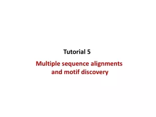Multiple sequence alignments  and motif discovery