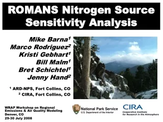 ROMANS Nitrogen Source Sensitivity Analysis