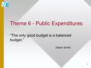 Theme 6 -  Public Expenditures