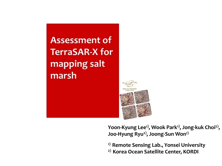 assessment of terrasar x for mapping salt marsh