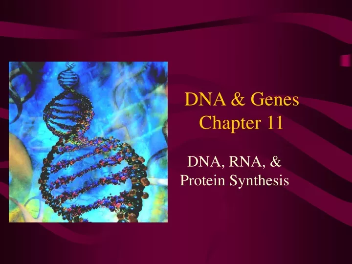 dna genes chapter 11