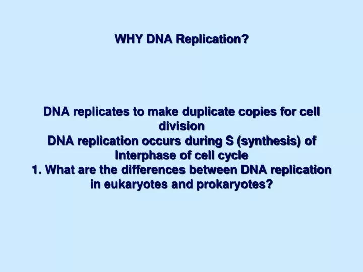 why dna replication dna replicates to make