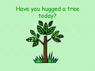 Have you hugged a tree today?