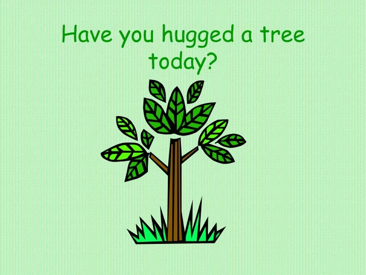 have you hugged a tree today