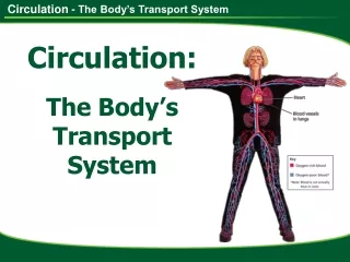 - The Body’s Transport System