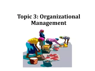 Topic 3: Organizational Management