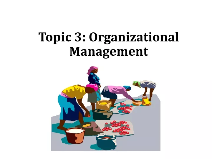 topic 3 organizational management