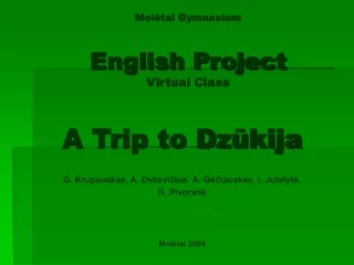 Mol?tai Gymnasium English Project Virtual Class
