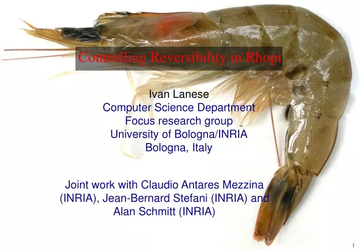 controlling reversibility in rhopi