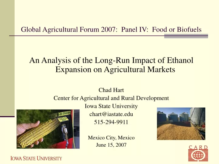 global agricultural forum 2007 panel iv food or biofuels