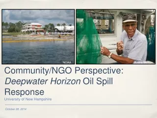 Community/NGO Perspective:  Deepwater Horizon  Oil Spill Response