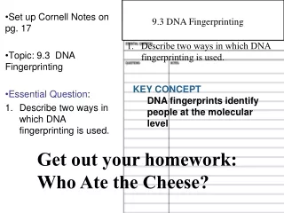 Set up Cornell Notes on pg. 17 Topic: 9.3  DNA Fingerprinting  Essential Question :
