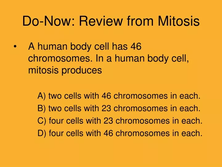 do now review from mitosis