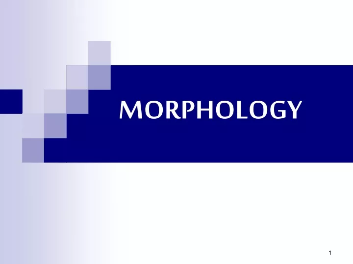 MORPHOLOGY
