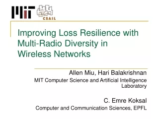 Improving Loss Resilience with Multi-Radio Diversity in  Wireless Networks