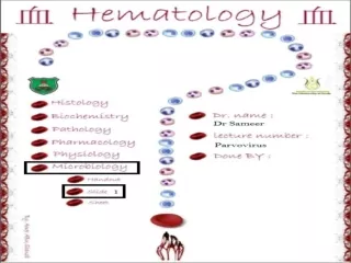 Medical Virology  Parvoviruses