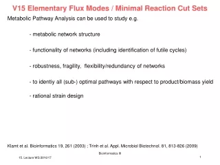 V15 Elementary Flux Modes / Minimal Reaction Cut Sets