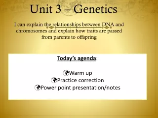 Unit 3 – Genetics