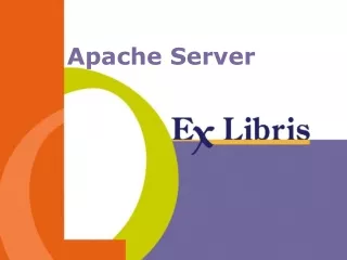 Apache Server