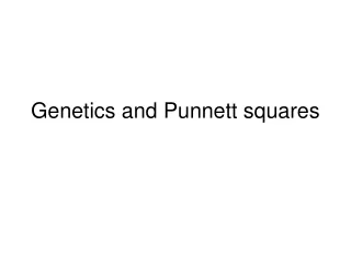 Genetics and Punnett squares