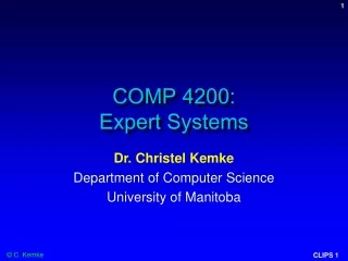 COMP 4200:  Expert Systems