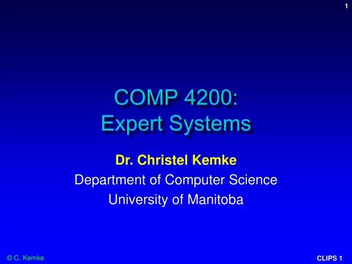 comp 4200 expert systems