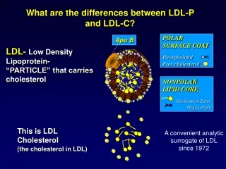 This is LDL Cholesterol (the cholesterol in LDL)