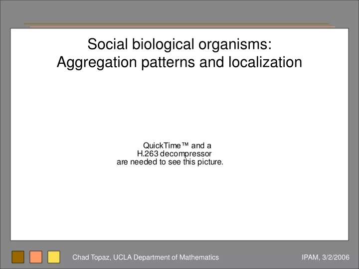 social biological organisms aggregation patterns
