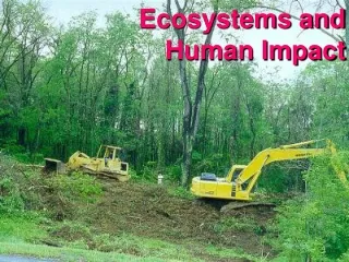 Ecosystems and Human Impact