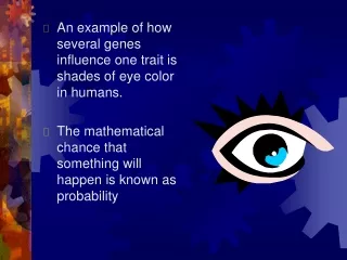 An example of how several genes influence one trait is shades of eye color in humans.