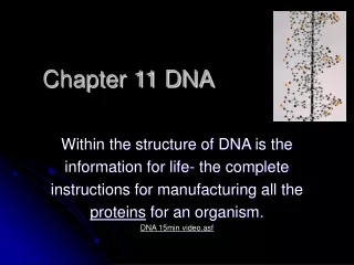 Chapter 11 DNA