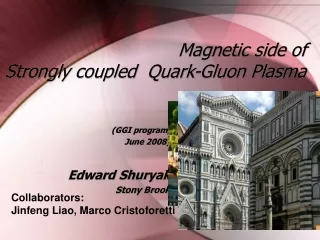 Magnetic side of  Strongly coupled  Quark-Gluon Plasma