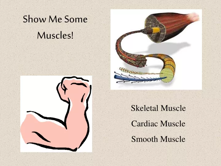 show me some muscles