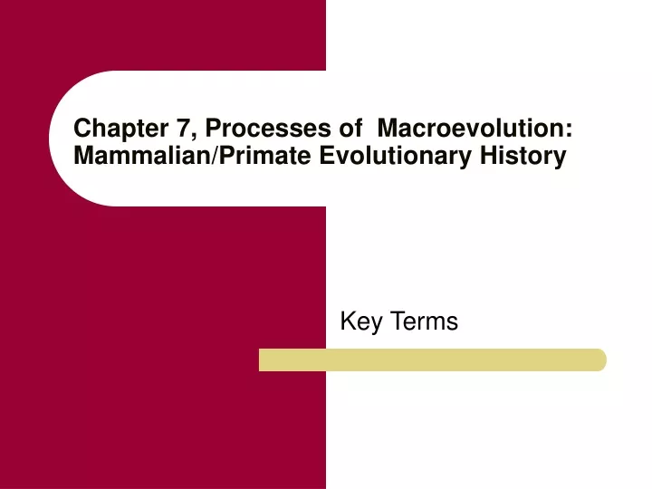 chapter 7 processes of macroevolution mammalian primate evolutionary history