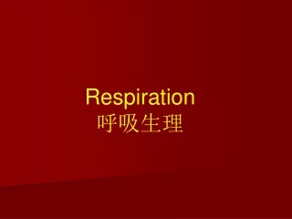 Respiration 呼吸生理