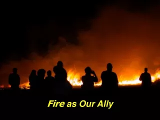 Fire  as Our Ally