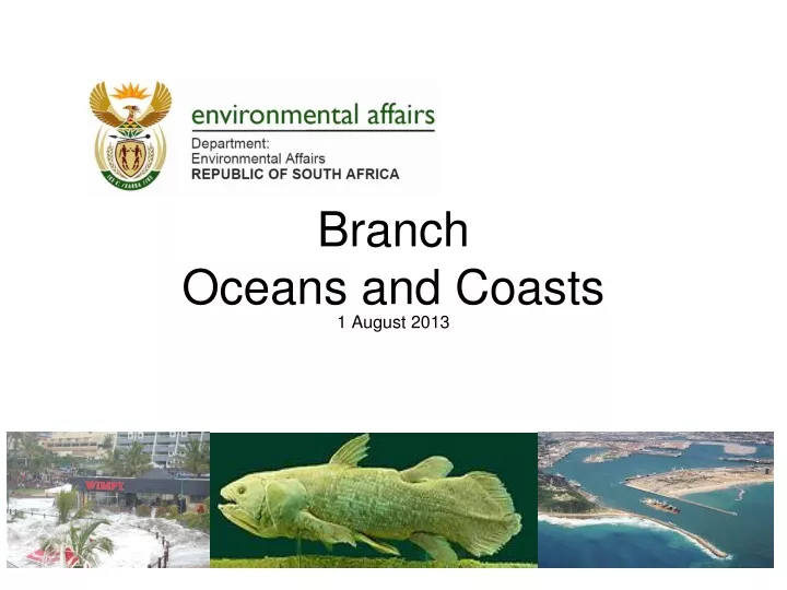 branch oceans and coasts