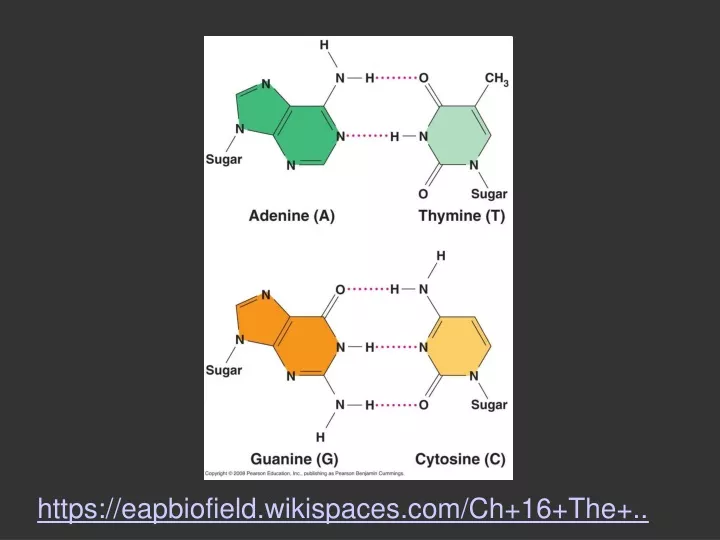 https eapbiofield wikispaces com ch 16 the