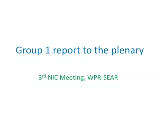 Group 1 report to the plenary