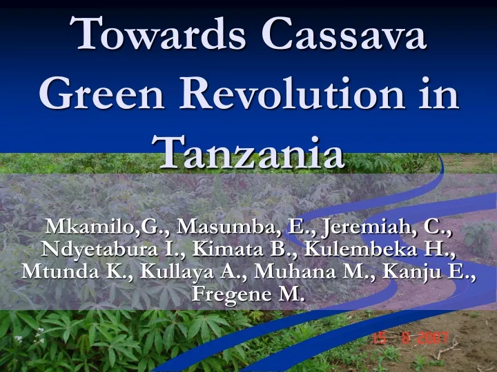 towards cassava towards cassava green revolution in tanzania