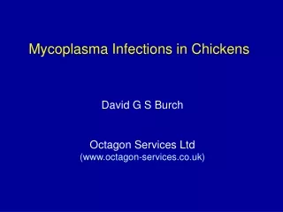 Mycoplasma Infections in Chickens